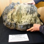 Mineralstufe in Lagerstättensammlung der TU Bergakademie Freiberg, Abraham-Gottlob-Werner-Bau